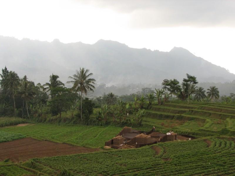 2007 07 13 BALI 059.jpg